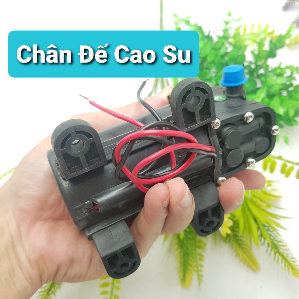 Máy Bơm Tăng Áp 12V DP-521Máy Phun Sương Tăng Áp 3.5 LítBơm Nước 12V Động Cơ 775