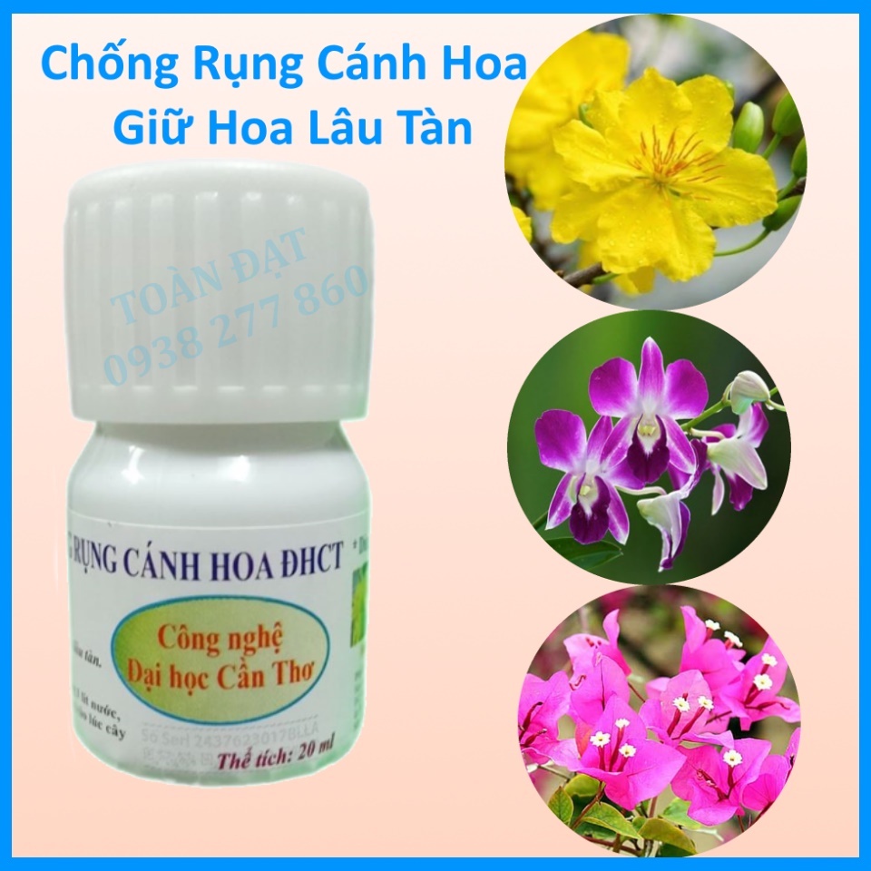 Chống Rụng Cánh Hoa Đại Học Cần Thơ 20ml, Sản phẩm giữ hoa lâu tàn, hoa tươi lâu, màu sắc đẹp