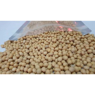 Đậu Nành Canada túi 1kg