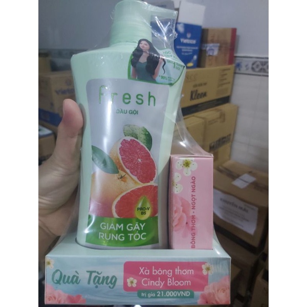 650g - Bộ đôi dầu gội tinh dầu bưởi Fresh