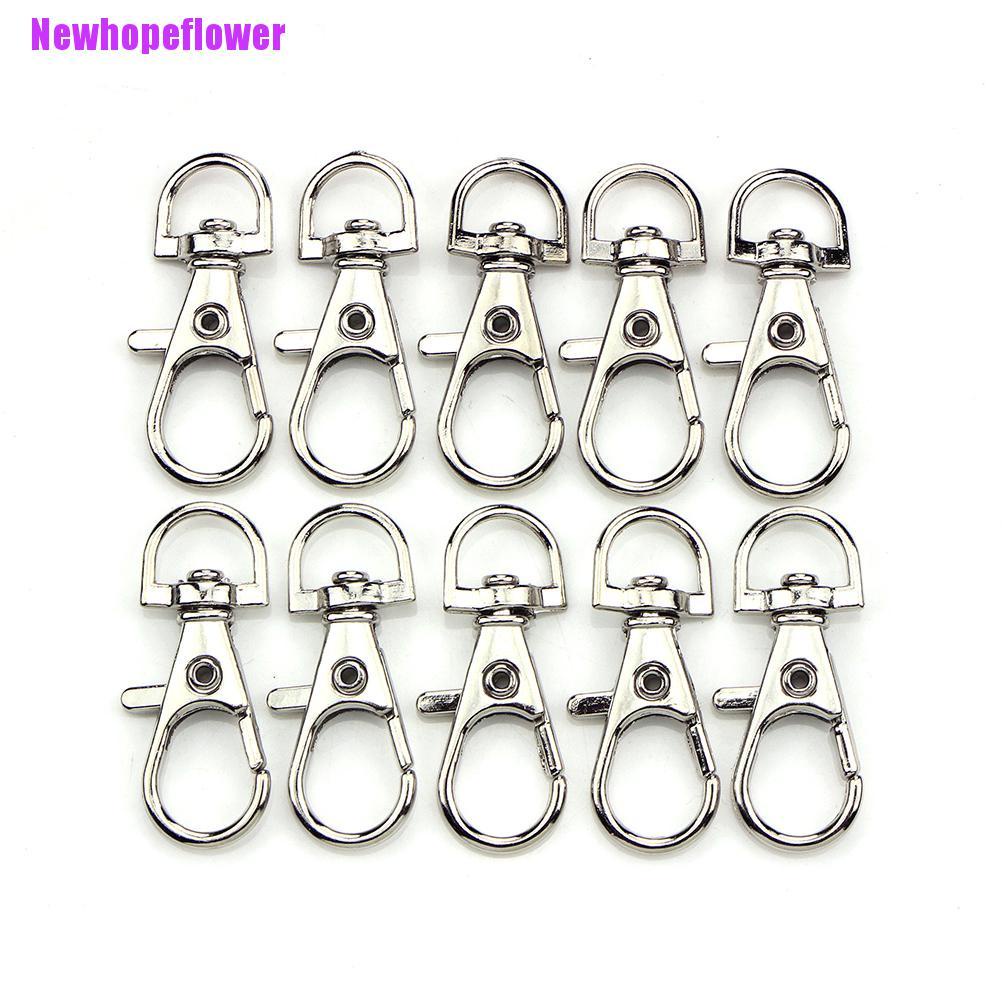 Bộ 10 Hình Tôm Hùm Độc Đáo