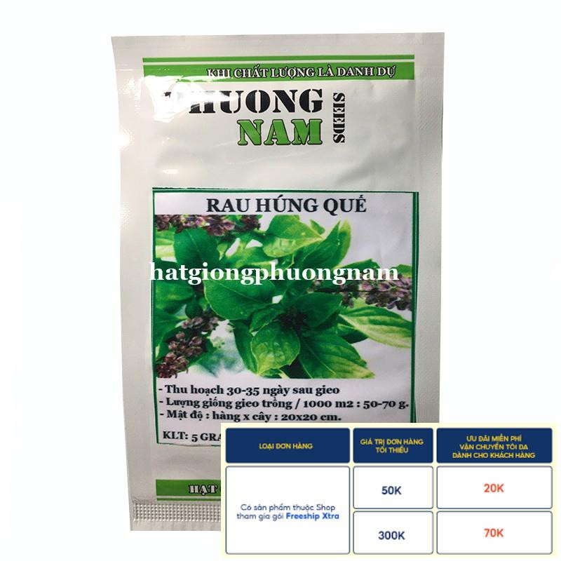 5GR - HẠT GIỐNG RAU HÚNG QUẾ