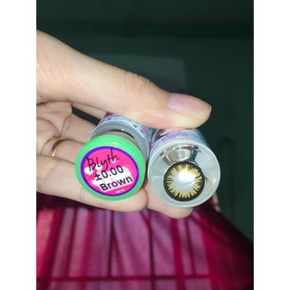 lens - kính áp trồng sử dụng 1 năm tặng kèm khây đựng