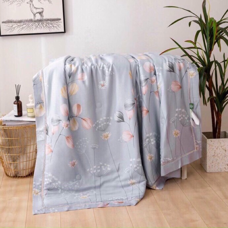 Chăn lụa thái siêu mềm mát Cực phẩm, Lô hội kháng khuẩn loại 1