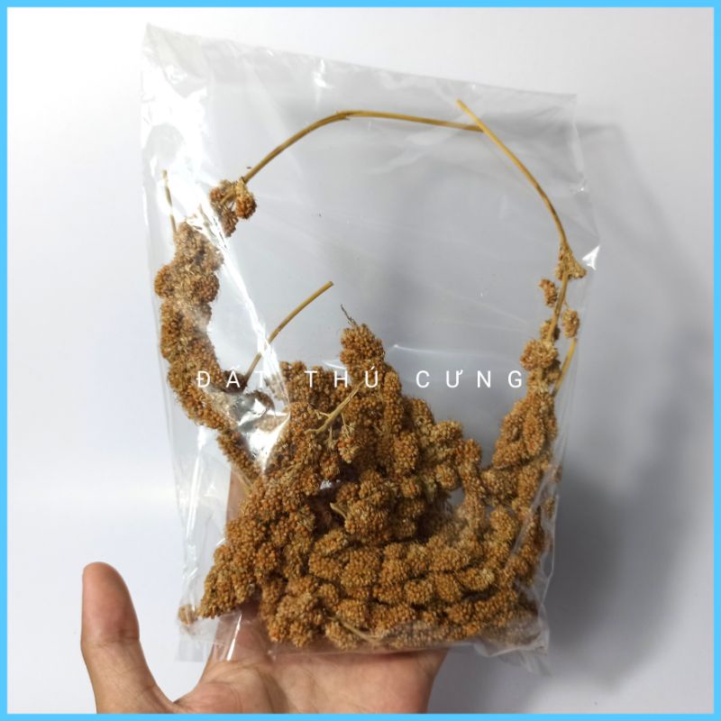 Kê chùm hamster bịt lớn khoản 75gr thức ăn dặm thêm