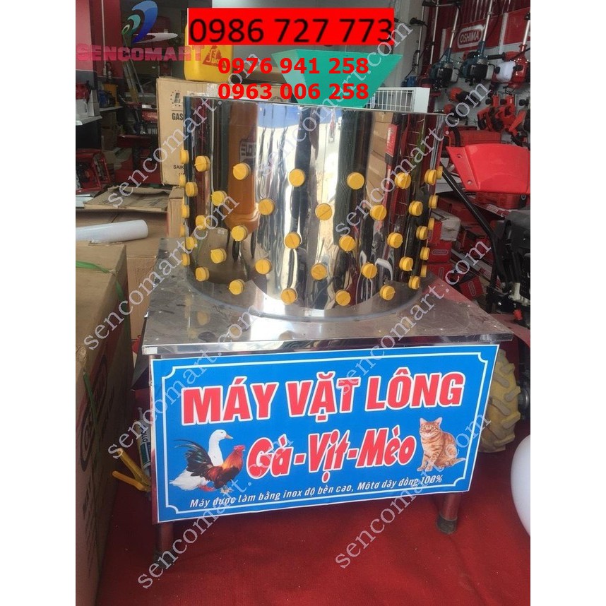 MÁY VẶT LÔNG GÀ PHI 50 SIÊU SẠCH- mua ở đâu