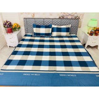 Bộ ga gối chun trần 3 món 2mx2m2