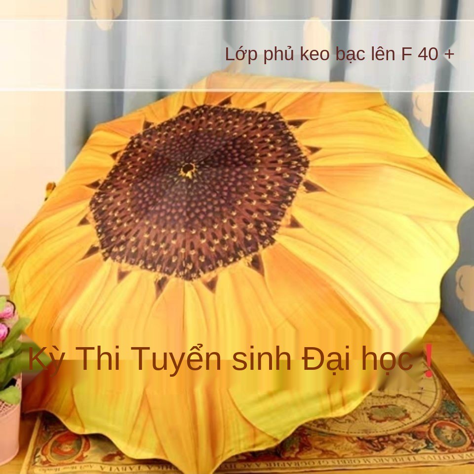 Gao Kao Sunflower đạt giải nhất trong một cú ngã, ô chống nắng tia UV 30% dù đi mưa hay nắng, nhựa bạc sáng tạo