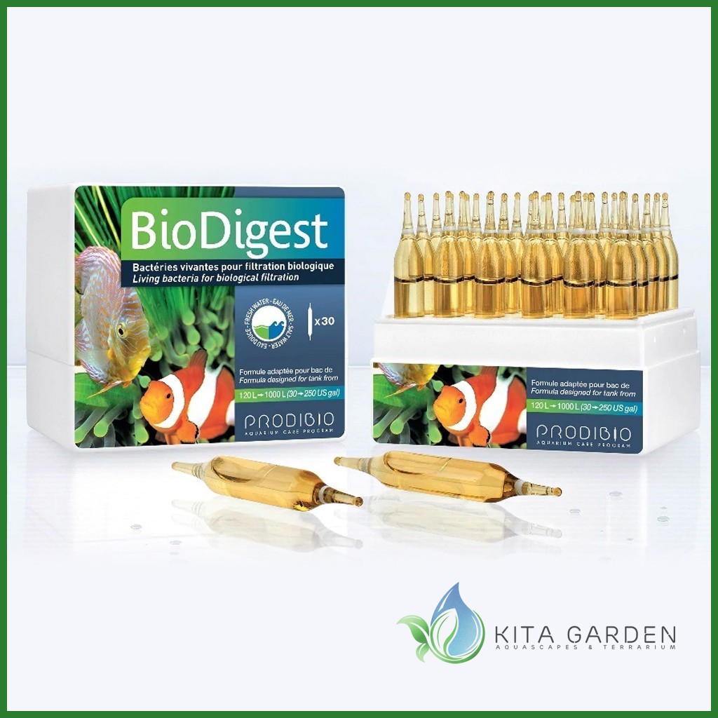 VI SINH SỐNG XỬ LÝ NƯỚC PRODIBIO BIODIGEST - Lẻ 1 ống