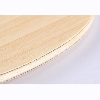 Vợt bóng bàn VISCARIA FL / CS