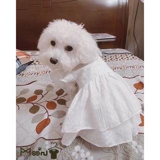 MOON| Váy NH hoa trắng nhỏ