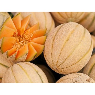 Hạt Giống Dưa Lưới Ruột Vàng Chịu Nhiệt Hales (Cucumis melo)