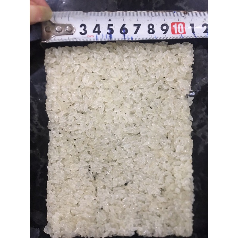 Cơm cháy nếp chưa chiên 1kg