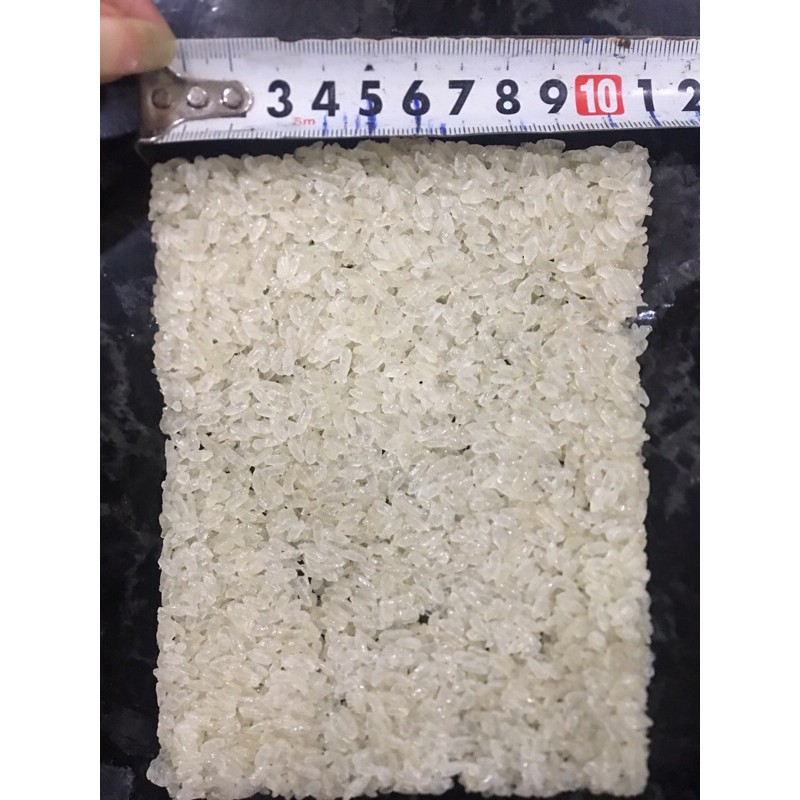 1kg cơm cháy nếp chưa chiên(100%gạo nếp)