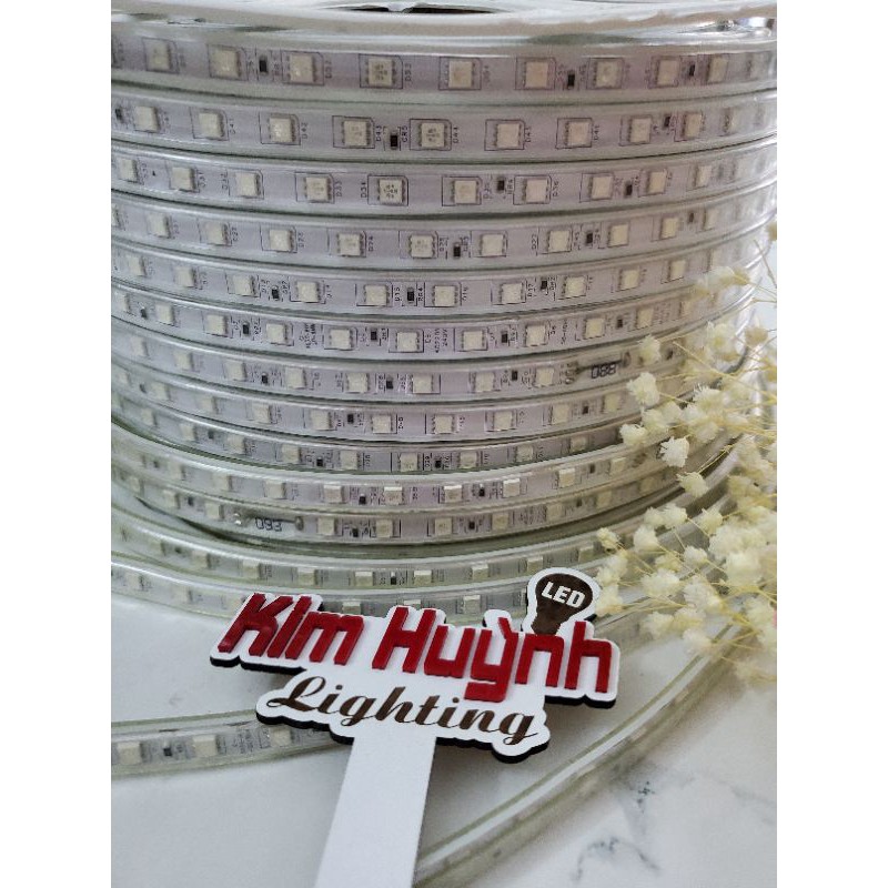 Dây led đổi màu trang trí ngoài trời (bán lẻ mét chưa nguồn, lưu ý đặt thêm nguồn)