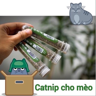 Cỏ mèo Catnip dạng ống