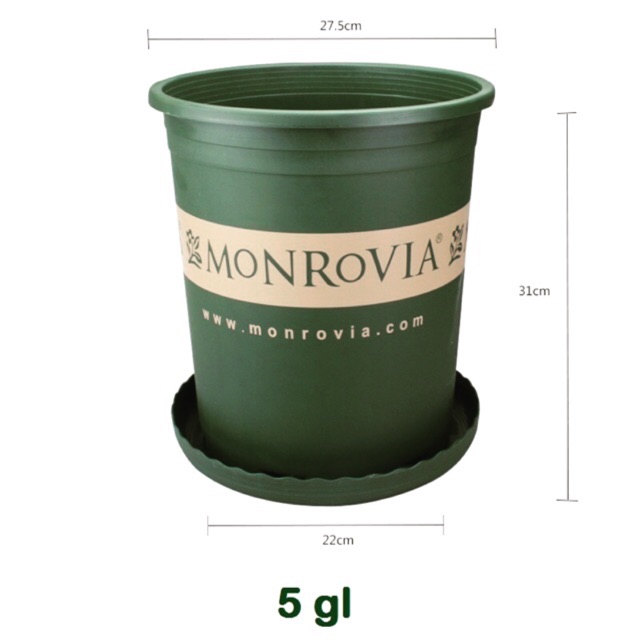 [Hàng nhập khẩu] Chậu monrovia + Đĩa Lót (Chậu Số 5)