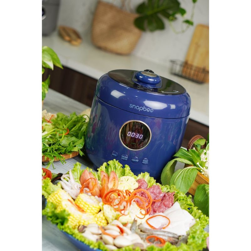 Nồi áp suất Snapbee Queen S45