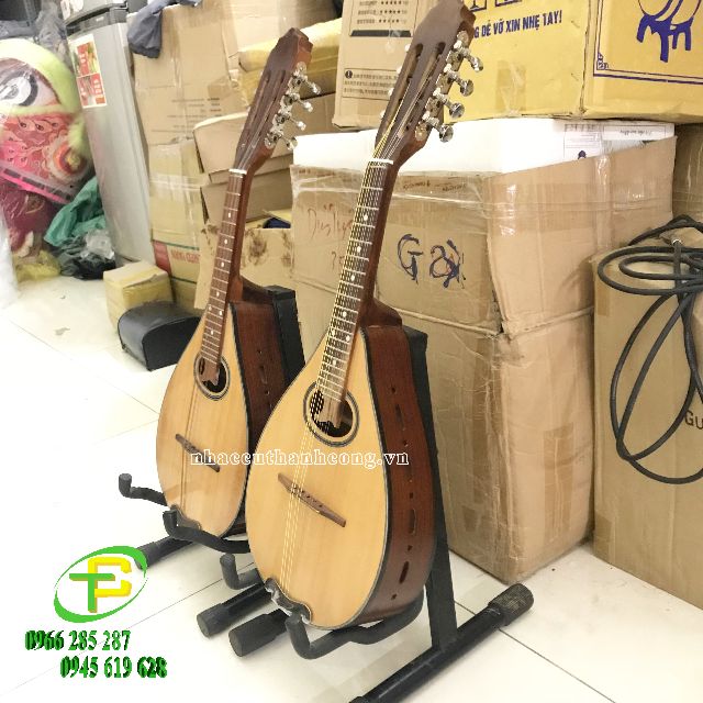 Đàn Mangdolin gỗ hồng đào