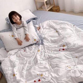 Bộ chăn ga gối đũi Hàn Quốc