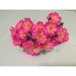 HOA ĐÀO CHÙM 1kg 600 bông (kèm kẽm lá nụ)