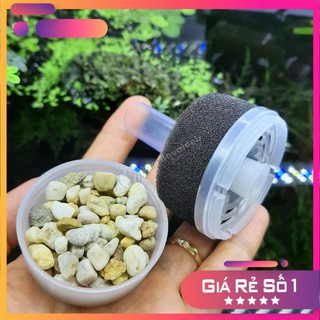 ☘ Lọc Bio Mini Có Ngăn Chứa Vật Liệu Lọc | Lọc Sủi Vi Sinh Cho Bể Cá, Bễ Thuỷ Sinh Mini