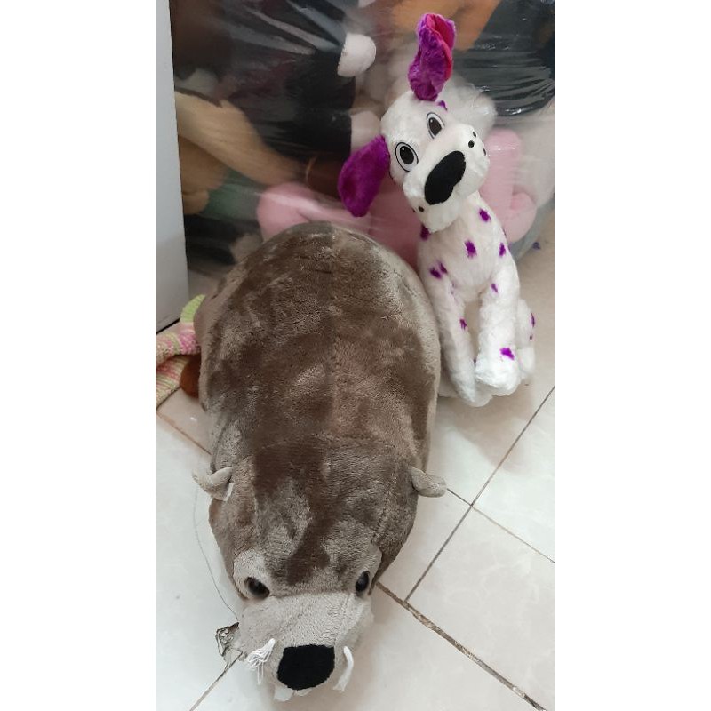 gấu của thủy tiên