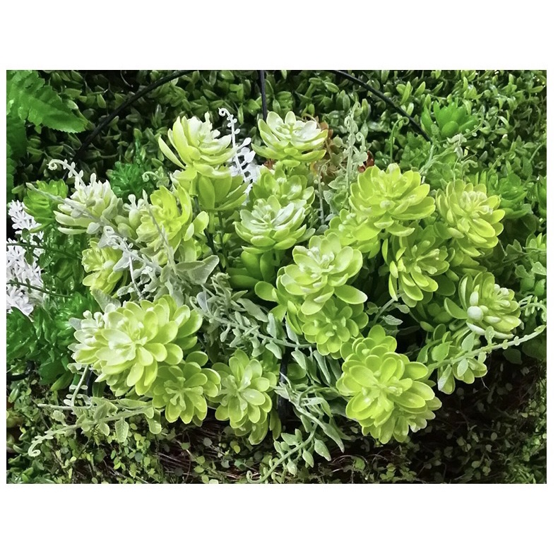 Hoa Giả 🌺 Cành Hoa Đá Nhựa, Dương Xỉ Hoa Đá Cắm Điểm