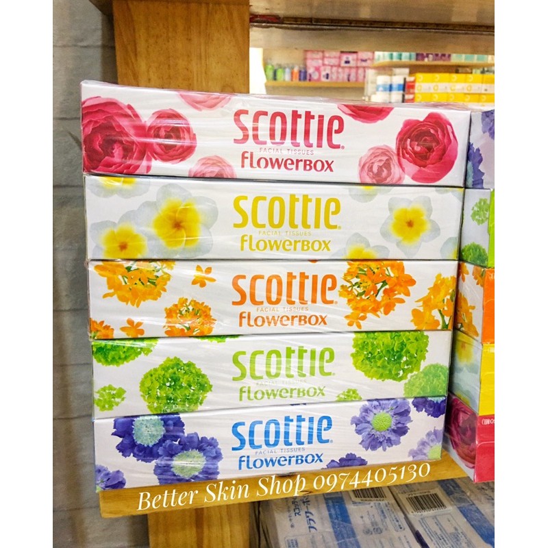 Khăn giấy Scottie Flowerbox (set 5 hộp)