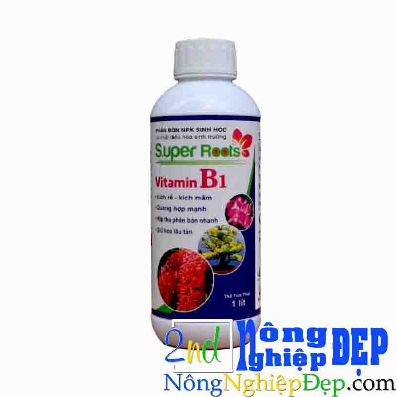 Super Roots vitamin B1 | Giữ Hoa lâu Tàn | kích Rễ,Kích mầm