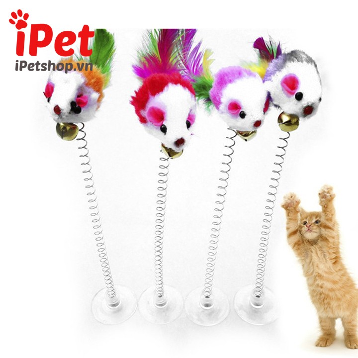 Chuột Đồ Chơi Lò Xo Có Mút Gắn Cho Chó Mèo - iPet Shop