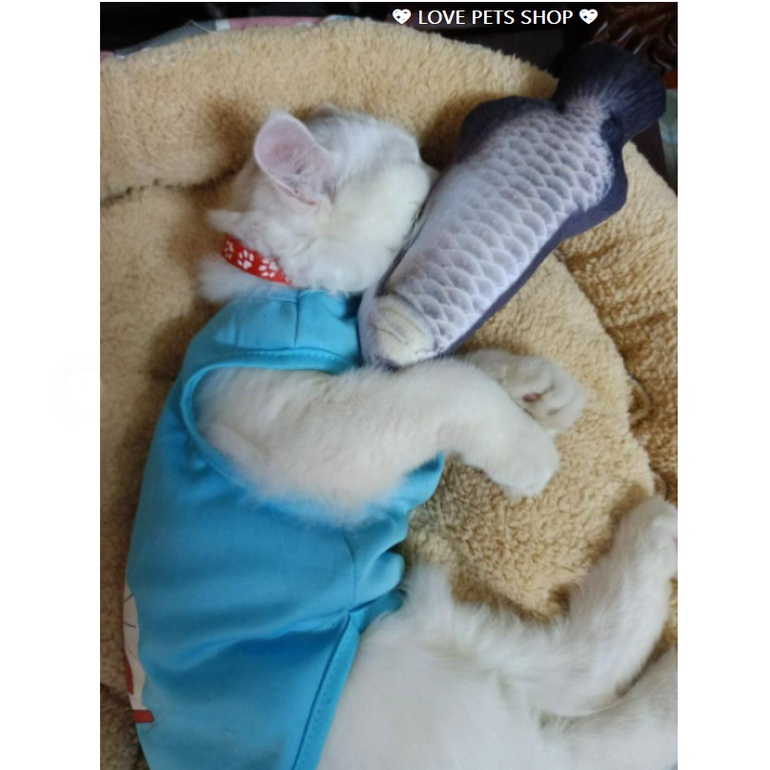 NỆM NẰM CHO CHÓ MÈO, ĐỆM TRÒN LÓT LÔNG BỌC VẢI VIỀN - LOVE PETS SHOP