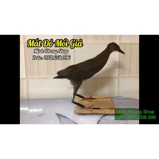 Mắt Xéo Giả, Mắt Đỏ Giả