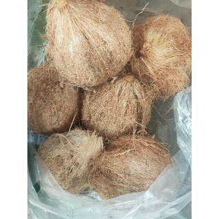 Dừa khô 1 trái