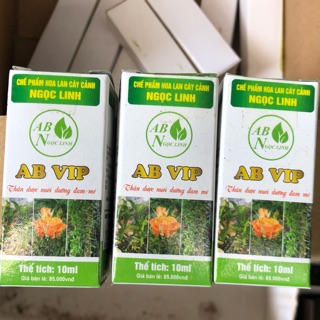 Thần dược nuôi dưỡng Lan Ab VIP Ngọc linh