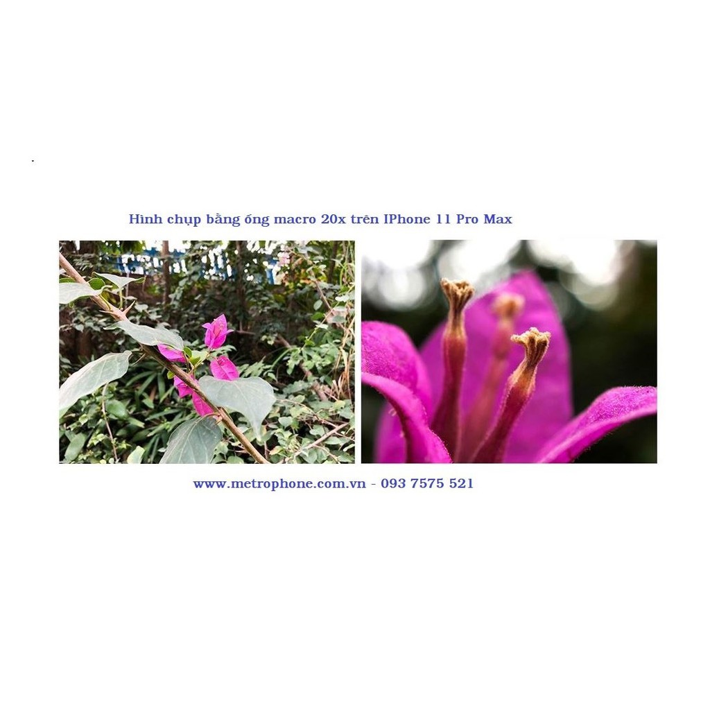 Ống kính chụp hình dành cho 11 Pro Max / 11 Pro / 11 chính hãng Pholes