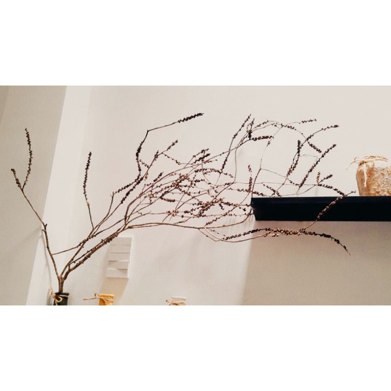 Nhánh cây khô tự nhiên trang trí cắm hoa bao đẹp,lạ,decor sự kiện siêu chất, phụ kiện chụp ảnh