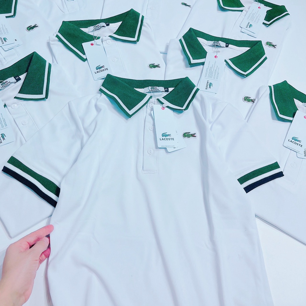 ÁO POLO CÁ SẤU CỔ XANH CHO NỮ