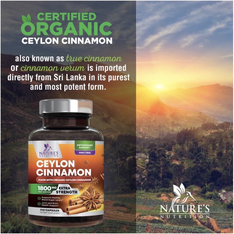 Viên tiểu đường thuần chay hữu cơ Nature's nutrition Ceylon Cinnamon 1800mg 120viên USA