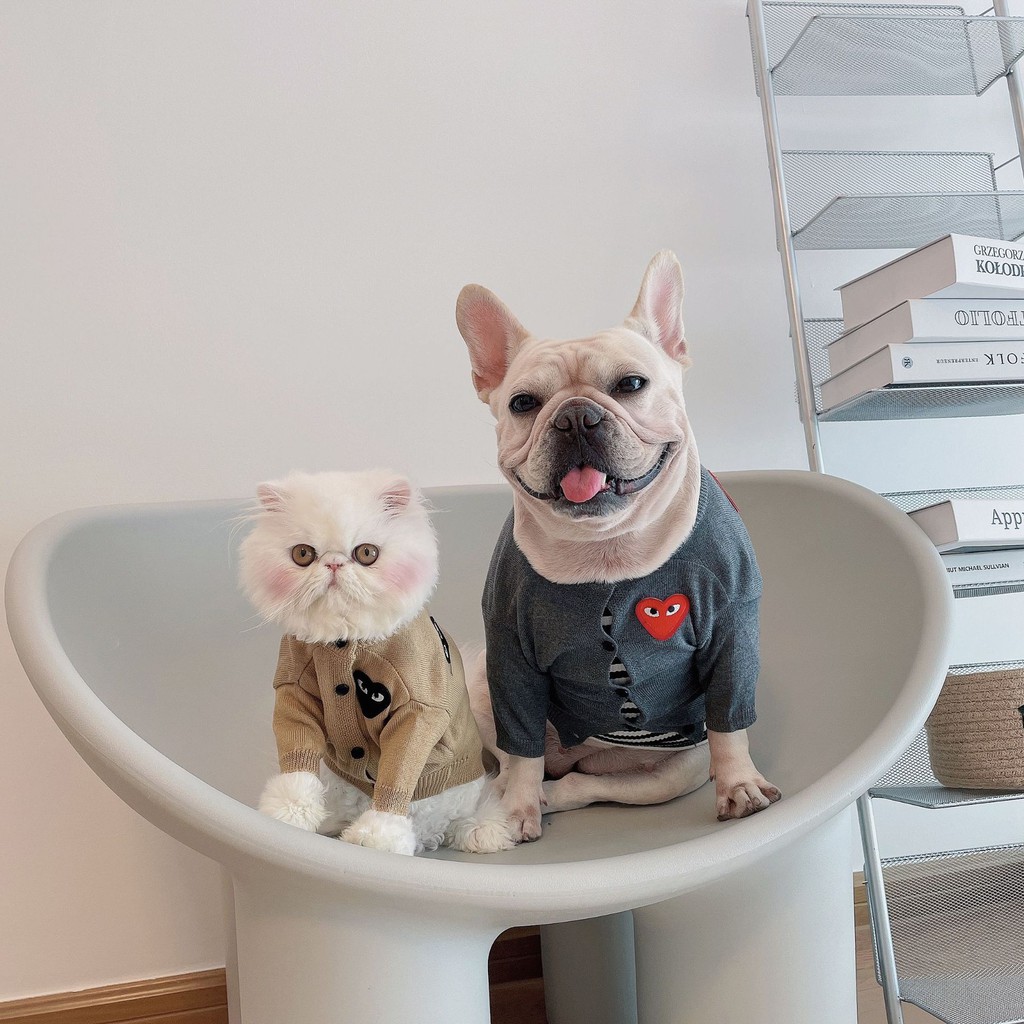 Áo khoác cardigan dệt kim thời trang thu đông xinh xắn dành cho thú cưng