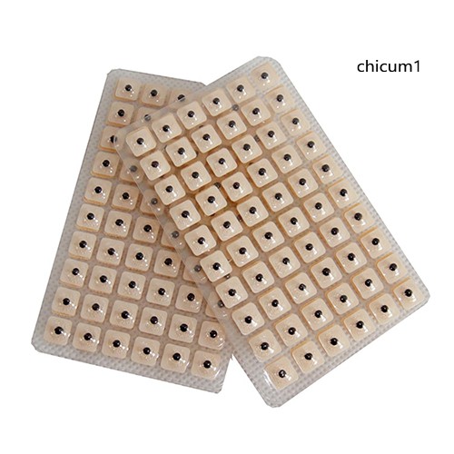 [Hàng mới về] Set 600 miếng ấn huyệt lỗ tai chuyên dụng để mát xa chữa bệnh hiệu quả
