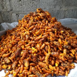 Tinh bột nghệ nếp nguyên chất (lọ 0,5 kg)
