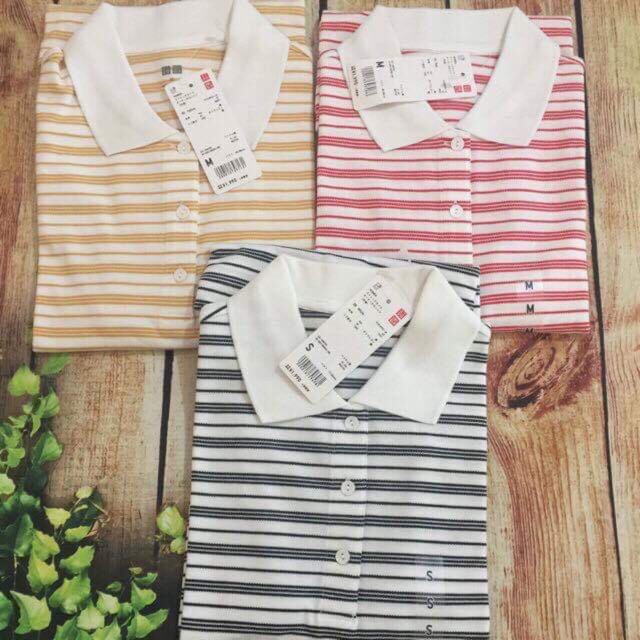 Áo polo Uniqlo auth