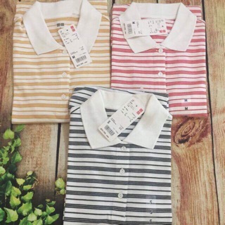 Áo polo Uniqlo auth