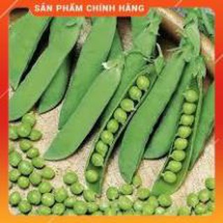 HẠT GIỐNG ĐẬU HÀ LAN GÓI 50G