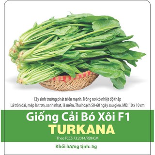[ Rạng Đông] Hạt Giống Cải Bó Xôi  F1 Turkana (Rau Chân Vịt, Rau Bina) gói 5g Chịu Nhiệt, Dễ Trồng