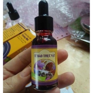 Tế bào gốc thực vật TRƯƠNG MAI - VUA PHỤC HỒI