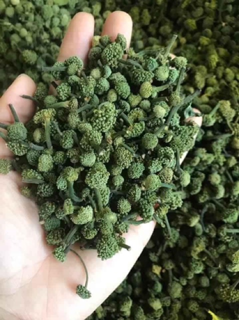 Nụ hoa tam thất 500g chuẩn xịn nhất | BigBuy360 - bigbuy360.vn