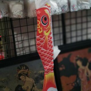 Cá chép vải Nhật Bản dài 70cm