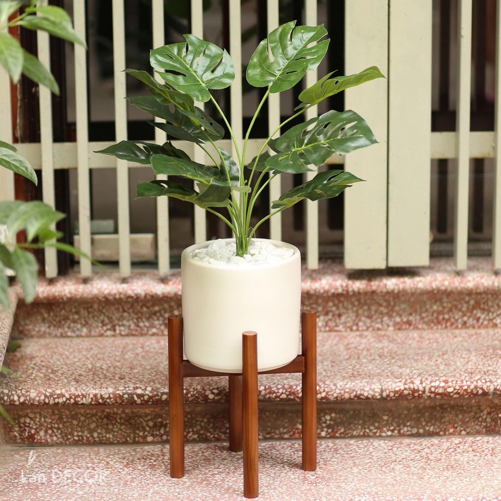 💥 Cây giả - Cây lá rùa nhựa trang trí để bàn, trang trí nhà đẹp cao 45cm - LC2026-2